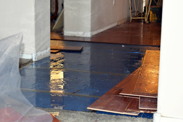 Professional Emergency Water Damage Restoration technician working in Temple, PA